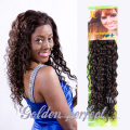 High Quality Natural Curly Human Hair Extensions for Black Women (GP-EU-CL)